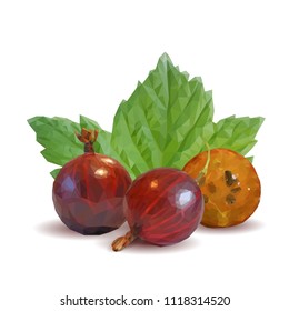 Fresh, nutritious and tasty gooseberry. Symbols of berries. Elements for label design. Vector illustration. Berries ingredients in triangulation technique. Gooseberries low poly.