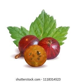 Fresh, nutritious and tasty gooseberry. Symbols of berries. Elements for label design. Vector illustration. Berries ingredients in triangulation technique. Gooseberries low poly.