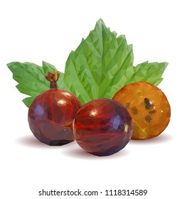 Fresh, nutritious and tasty gooseberry. Symbols of berries. Elements for label design. Vector illustration. Berries ingredients in triangulation technique. Gooseberries low poly.