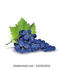 Fresh, nutritious, tasty grapes. Delicious and healthy dessert. Elements for label design. Vector illustration. Fruits ingredients in triangulation technique. Grapes low poly. 