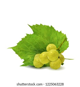Fresh, nutritious, tasty grapes. Delicious and healthy dessert. Elements for label design. Vector illustration. Fruits ingredients in triangulation technique. Grapes low poly. 