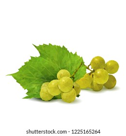 Fresh, nutritious, tasty grapes. Delicious and healthy dessert. Elements for label design. Vector illustration. Fruits ingredients in triangulation technique. Grapes low poly. 