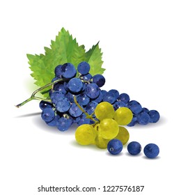 Fresh, nutritious, tasty grapes. Delicious and healthy dessert. Elements for label design. Vector illustration. Fruits ingredients in triangulation technique. Grapes low poly. 