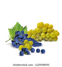 Fresh, nutritious, tasty grapes. Delicious and healthy dessert. Elements for label design. Vector illustration. Fruits ingredients in triangulation technique. Grapes low poly. 