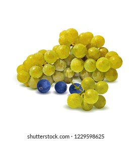 Fresh, nutritious, tasty grapes. Delicious and healthy dessert. Elements for label design. Vector illustration. Fruits ingredients in triangulation technique. Grapes low poly. 