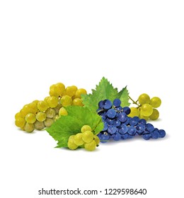 Fresh, nutritious, tasty grapes. Delicious and healthy dessert. Elements for label design. Vector illustration. Fruits ingredients in triangulation technique. Grapes low poly. 