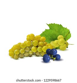 Fresh, nutritious, tasty grapes. Delicious and healthy dessert. Elements for label design. Vector illustration. Fruits ingredients in triangulation technique. Grapes low poly. 