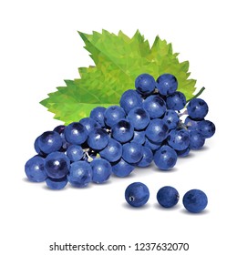 Fresh, nutritious, tasty grapes. Delicious and healthy dessert. Elements for label design. Vector illustration. Fruits ingredients in triangulation technique. Grapes low poly. 