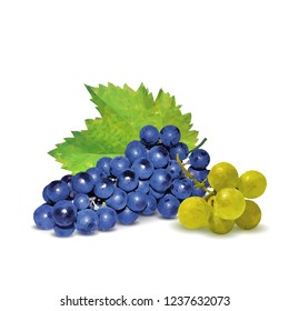 Fresh, nutritious, tasty grapes. Delicious and healthy dessert. Elements for label design. Vector illustration. Fruits ingredients in triangulation technique. Grapes low poly. 