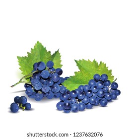 Fresh, nutritious, tasty grapes. Delicious and healthy dessert. Elements for label design. Vector illustration. Fruits ingredients in triangulation technique. Grapes low poly. 