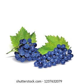 Fresh, nutritious, tasty grapes. Delicious and healthy dessert. Elements for label design. Vector illustration. Fruits ingredients in triangulation technique. Grapes low poly. 