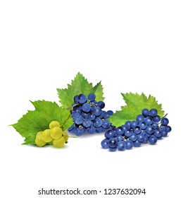 Fresh, nutritious, tasty grapes. Delicious and healthy dessert. Elements for label design. Vector illustration. Fruits ingredients in triangulation technique. Grapes low poly. 