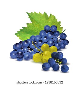 Fresh, nutritious, tasty grapes. Delicious and healthy dessert. Elements for label design. Vector illustration. Fruits ingredients in triangulation technique. Grapes low poly. 