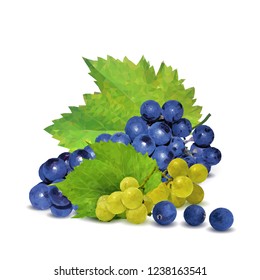 Fresh, nutritious, tasty grapes. Delicious and healthy dessert. Elements for label design. Vector illustration. Fruits ingredients in triangulation technique. Grapes low poly. 