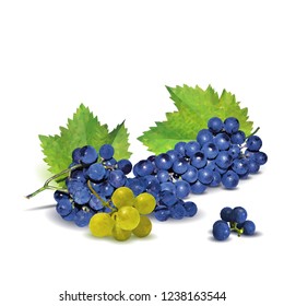 Fresh, nutritious, tasty grapes. Delicious and healthy dessert. Elements for label design. Vector illustration. Fruits ingredients in triangulation technique. Grapes low poly. 