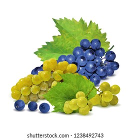 Fresh, nutritious, tasty grapes. Delicious and healthy dessert. Elements for label design. Vector illustration. Fruits ingredients in triangulation technique. Grapes low poly. 