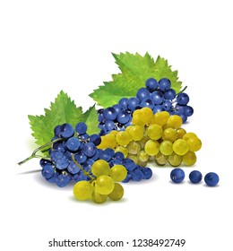 Fresh, nutritious, tasty grapes. Delicious and healthy dessert. Elements for label design. Vector illustration. Fruits ingredients in triangulation technique. Grapes low poly. 