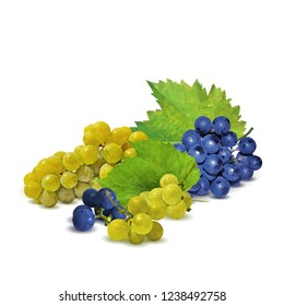 Fresh, nutritious, tasty grapes. Delicious and healthy dessert. Elements for label design. Vector illustration. Fruits ingredients in triangulation technique. Grapes low poly. 