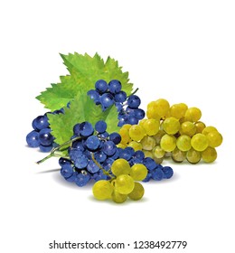 Fresh, nutritious, tasty grapes. Delicious and healthy dessert. Elements for label design. Vector illustration. Fruits ingredients in triangulation technique. Grapes low poly. 