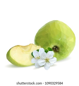 Fresh, nutritious and tasty green apples. Bloom of apples. Symbols of fruits. Elements for label design. Vector illustration. Fruits ingredients in triangulation technique. Apples low poly.
