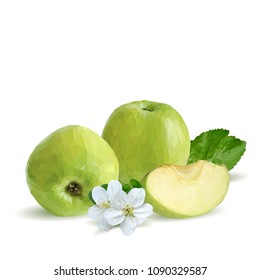 Fresh, nutritious and tasty green apples. Bloom of apples. Symbols of fruits. Elements for label design. Vector illustration. Fruits ingredients in triangulation technique. Apples low poly.