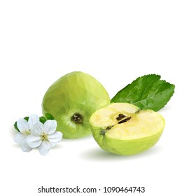Fresh, nutritious and tasty green apples. Bloom of apples. Symbols of fruits. Elements for label design. Vector illustration. Fruits ingredients in triangulation technique. Apples low poly.