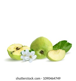 Fresh, nutritious and tasty green apples. Bloom of apples. Symbols of fruits. Elements for label design. Vector illustration. Fruits ingredients in triangulation technique. Apples low poly.