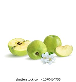 Fresh, nutritious and tasty green apples. Bloom of apples. Symbols of fruits. Elements for label design. Vector illustration. Fruits ingredients in triangulation technique. Apples low poly.