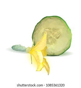 Fresh, nutritious, tasty green cucumber. Vector illustration. Vegetables ingredients in triangulation technique. Cucumber low poly.