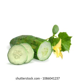 Fresh, nutritious, tasty green cucumber. Vector illustration. Vegetables ingredients in triangulation technique. Cucumber low poly.