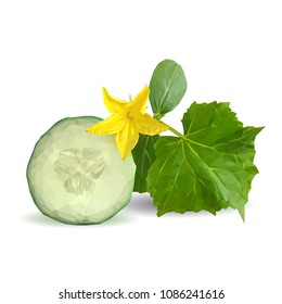 Fresh, nutritious, tasty green cucumber. Vector illustration. Vegetables ingredients in triangulation technique. Cucumber low poly.