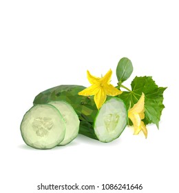 Fresh, nutritious, tasty green cucumber. Vector illustration. Vegetables ingredients in triangulation technique. Cucumber low poly.