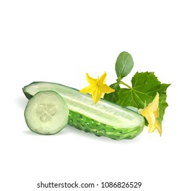 Fresh, nutritious, tasty green cucumber. Vector illustration. Vegetables ingredients in triangulation technique. Cucumber low poly.