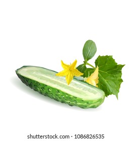Fresh, nutritious, tasty green cucumber. Vector illustration. Vegetables ingredients in triangulation technique. Cucumber low poly.