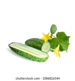 Fresh, nutritious, tasty green cucumber. Vector illustration. Vegetables ingredients in triangulation technique. Cucumber low poly.