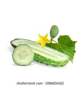 Fresh, nutritious, tasty green cucumber. Vector illustration. Vegetables ingredients in triangulation technique. Cucumber low poly.