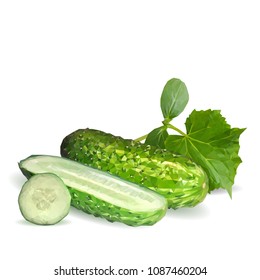 Fresh, nutritious, tasty green cucumber. Vector illustration. Vegetables ingredients in triangulation technique. Cucumber low poly.
