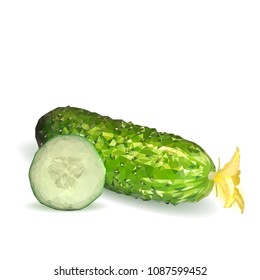 Fresh, nutritious, tasty green cucumber. Vector illustration. Vegetables ingredients in triangulation technique. Cucumber low poly.