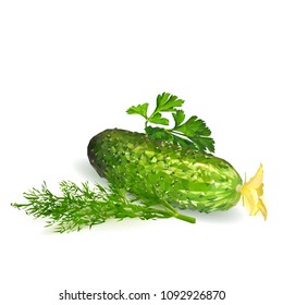 Fresh, nutritious, tasty green cucumber with dill. Delicious and healthy lunch. Marinade. Vector illustration. Vegetables ingredients in triangulation technique. Cucumber with dill low poly.