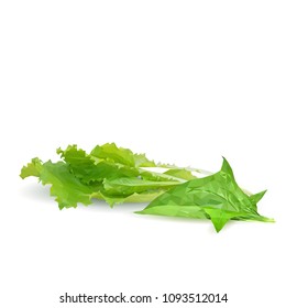 Fresh, nutritious, tasty green plant with vitamins. Delicious seasoning. Spices. Vector illustration. Vegetables ingredients in triangulation technique. Green plant low poly.