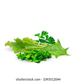 Fresh, nutritious, tasty green plant with vitamins. Delicious seasoning. Spices. Vector illustration. Vegetables ingredients in triangulation technique. Green plant low poly.