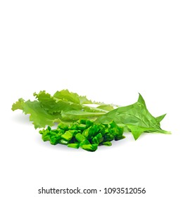 Fresh, nutritious, tasty green plant with vitamins. Delicious seasoning. Spices. Vector illustration. Vegetables ingredients in triangulation technique. Green plant low poly.