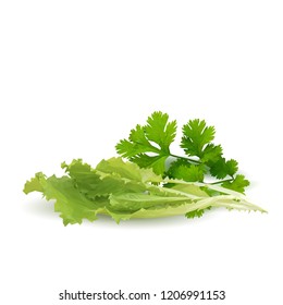Fresh, nutritious, tasty green plant. Delicious seasoning. Spices. Vector illustration. Vegetables ingredients in triangulation technique. Green plant low poly.