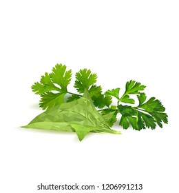 Fresh, nutritious, tasty green plant. Delicious seasoning. Spices. Vector illustration. Vegetables ingredients in triangulation technique. Green plant low poly.