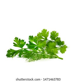 Fresh, nutritious, tasty green plant. Delicious seasoning. Spices. Vector illustration. Vegetables ingredients in triangulation technique. Green plant low poly.