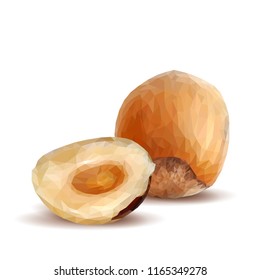 Fresh, nutritious, tasty hazelnut. Symbols of nuts. Elements for label design. Vector illustration. Nuts ingredients in triangulation technique. Hazelnut low poly.