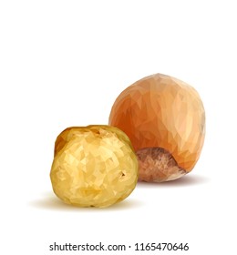 Fresh, nutritious, tasty hazelnut. Symbols of nuts. Elements for label design. Vector illustration. Nuts ingredients in triangulation technique. Hazelnut low poly.