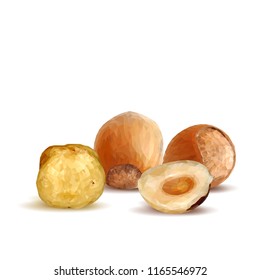 Fresh, nutritious, tasty hazelnut. Symbols of nuts. Elements for label design. Vector illustration. Nuts ingredients in triangulation technique. Hazelnut low poly.