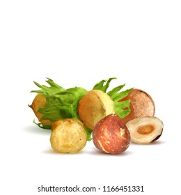 Fresh, nutritious, tasty hazelnut. Symbols of nuts. Elements for label design. Vector illustration. Nuts ingredients in triangulation technique. Hazelnut low poly.