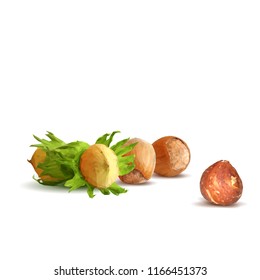 Fresh, nutritious, tasty hazelnut. Symbols of nuts. Elements for label design. Vector illustration. Nuts ingredients in triangulation technique. Hazelnut low poly.